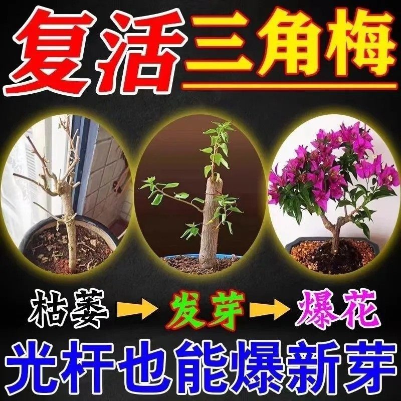 三角梅植物再生剂免稀释营养液绿植花卉盆栽家庭园艺肥料盆栽肥料,淘宝优惠券,粉丝福利购,淘宝优惠卷