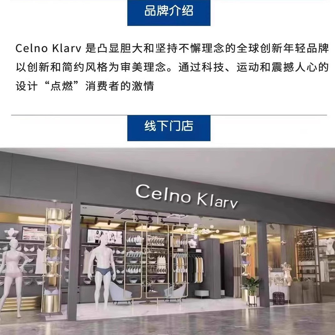 CelnoKlarv【礼盒+手提袋】提拉9.0内衣小胸聚拢无痕文胸L2