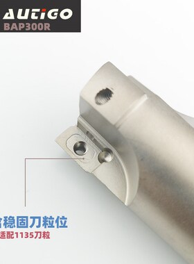 AUTIGO 数控铣刀杆 BAP300R 加硬抗震立铣刀杆 90度21/17R0.8直角