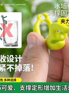 办公桌伴侣水培植物固定器扶枝
