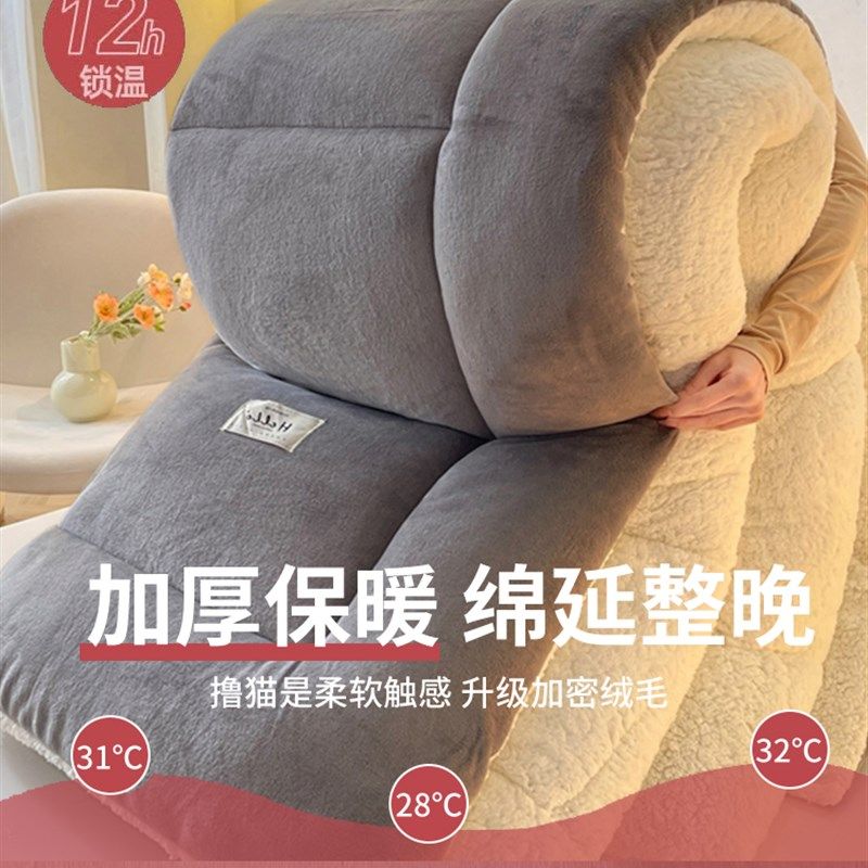 羊羔绒被子2025新款冬季棉被被芯冬天单人宿舍秋冬被加厚保暖10斤,淘宝优惠券,粉丝福利购,淘宝优惠卷