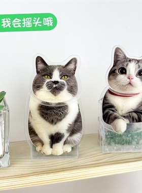 宠物猫咪摇头桌面摆件定制摇头晃脑汽车狗狗摇摇乐可爱网红治癒系