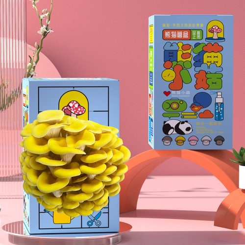 儿童种植小盆栽蘑菇盒子养殖盒学生观察绿植盲盒幼儿园科学材料 - 图0