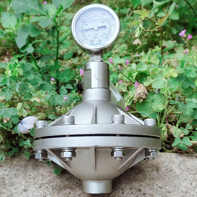 膜片式脉冲阻尼器304不锈钢316L脉动缓冲器 DN15/20/25PVDF气囊式,淘宝优惠券,粉丝福利购,淘宝优惠卷