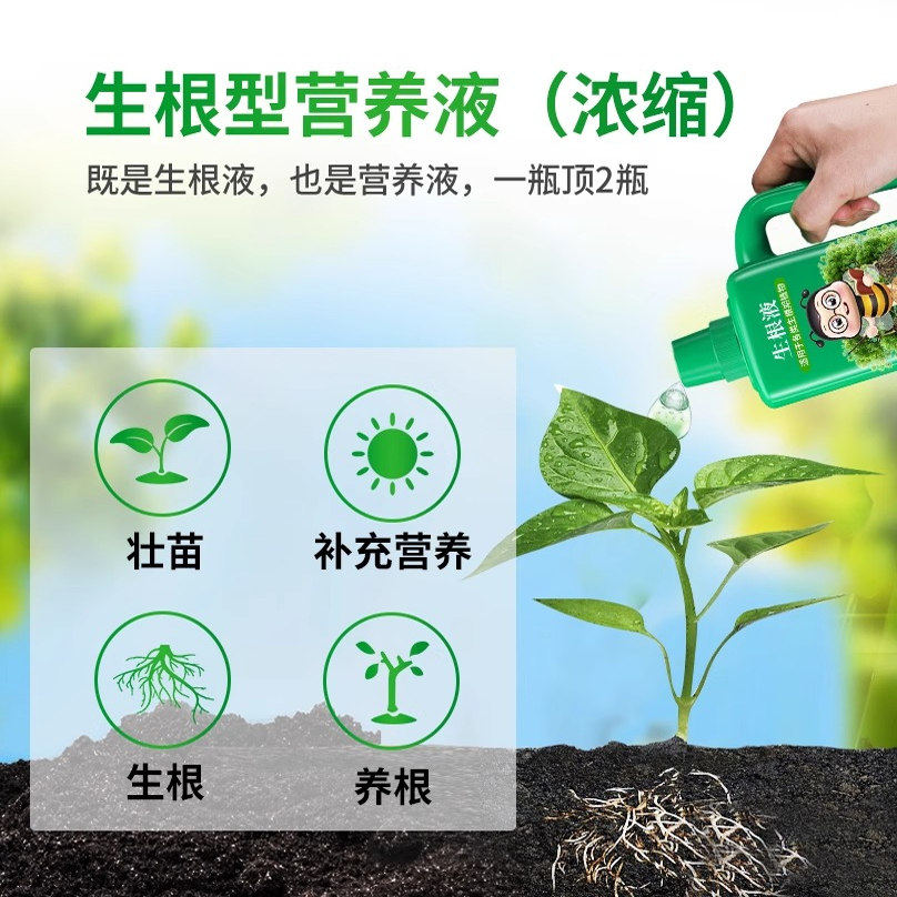 生根液植物通用型扦插快速生根营养液强力浓缩生根剂多肉移栽壮苗,淘宝优惠券,粉丝福利购,淘宝优惠卷