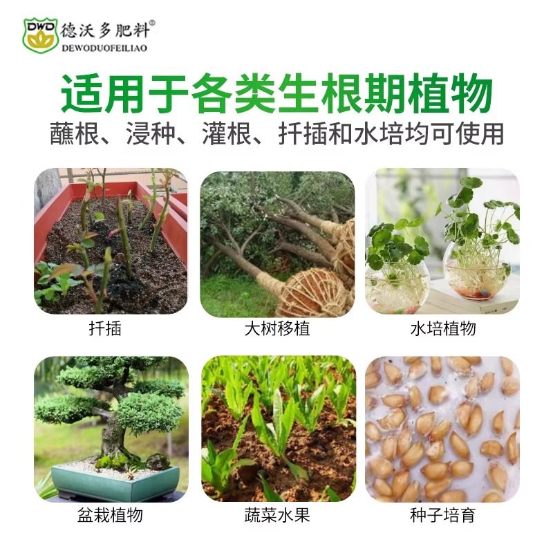 生根液植物通用型扦插快速生根营养液强力浓缩生根剂多肉移栽壮苗,淘宝优惠券,粉丝福利购,淘宝优惠卷