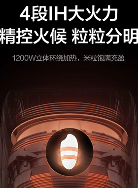 专胆专用美味锅巴饭TOSOT大松