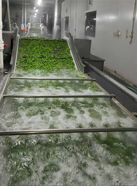 全自动玉米清洗机杏鲍菇金针菇连续式清洗设备果蔬气泡清洗机
