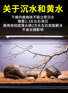 南美原生鱼缸沉木造景鹿角枝杜鹃根大号树根树枝榄仁叶溪流缸装饰