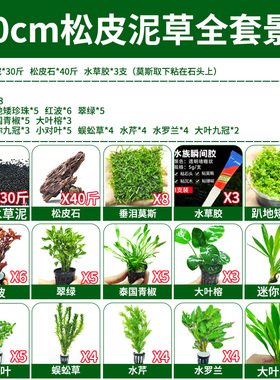 水草造景套餐鱼缸活体植物泥底砂松皮青龙石头摆件水陆缸景观全套