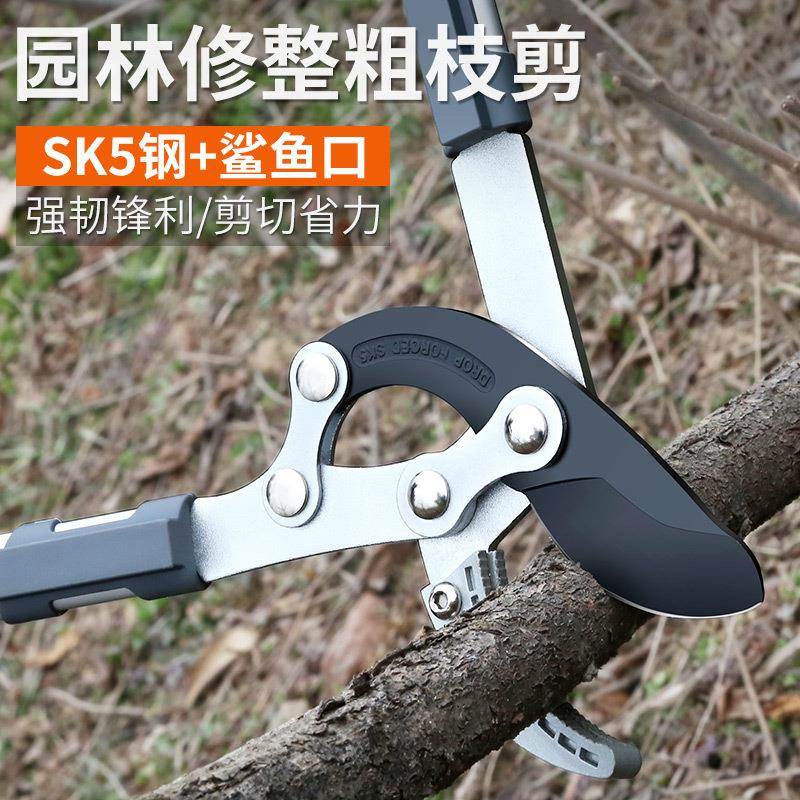 剪树枝剪刀粗果树剪修枝剪修剪修枝剪枝加长园林剪子大ROG枝剪 - 图2