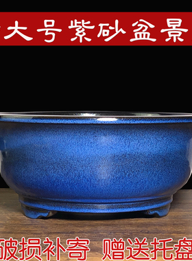 紫砂花盆特大号盆景盆黄杨罗汉松花盆老桩种树盆多肉陶瓷花盆清仓
