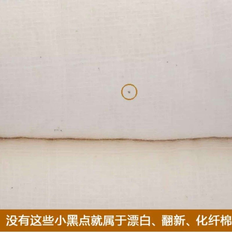 棉被棉絮冬被100%里外全棉被芯冬季加厚保暖纯棉花被子棉胎絮垫被,淘宝优惠券,粉丝福利购,淘宝优惠卷