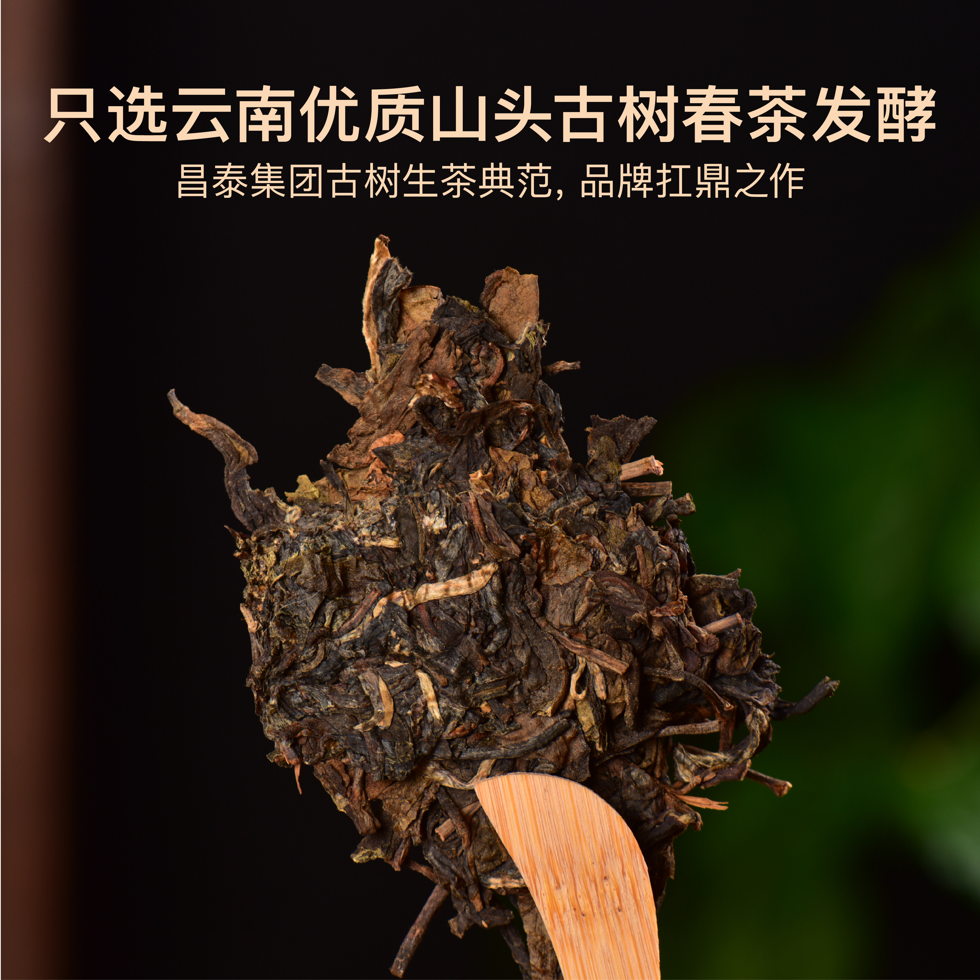 昌泰普洱2014年回归8582古树生茶易武普洱茶357g生茶普洱茶,淘宝优惠券,粉丝福利购,淘宝优惠卷