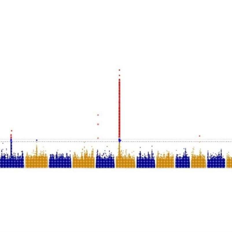 植物生物信息GWAS分析2D3D绘图/单倍型分析构建进化树/生物信息,淘宝优惠券,粉丝福利购,淘宝优惠卷
