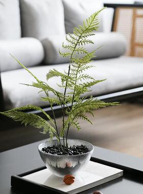 新中式样板间苔藓马托盘组合套装客厅茶几茶室宋代美学装饰品摆件