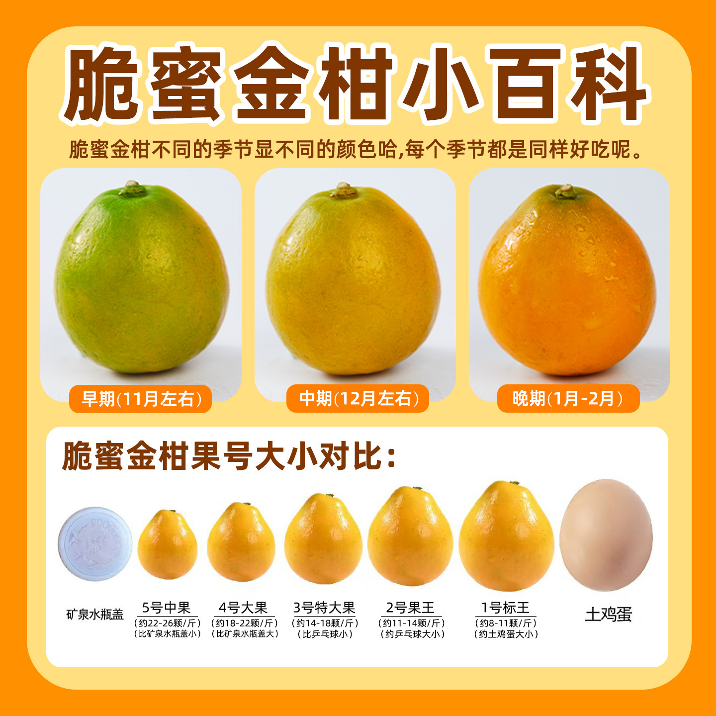 正宗广西融安脆蜜金桔第三代脆蜜金柑应季新鲜水果独立包装顺丰,淘宝优惠券,粉丝福利购,淘宝优惠卷