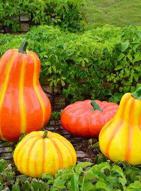 户外花园彷真玻璃纤维南瓜雕塑农场庭院草坪植物景观园林装饰小品