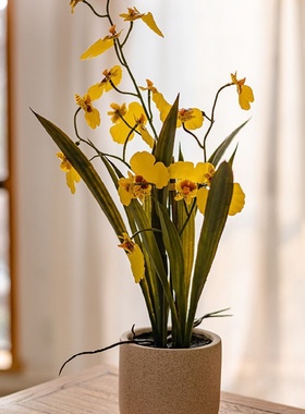 跳舞兰高档仿真花盆栽北欧客厅装饰花束餐桌假花摆设现代轻奢摆件