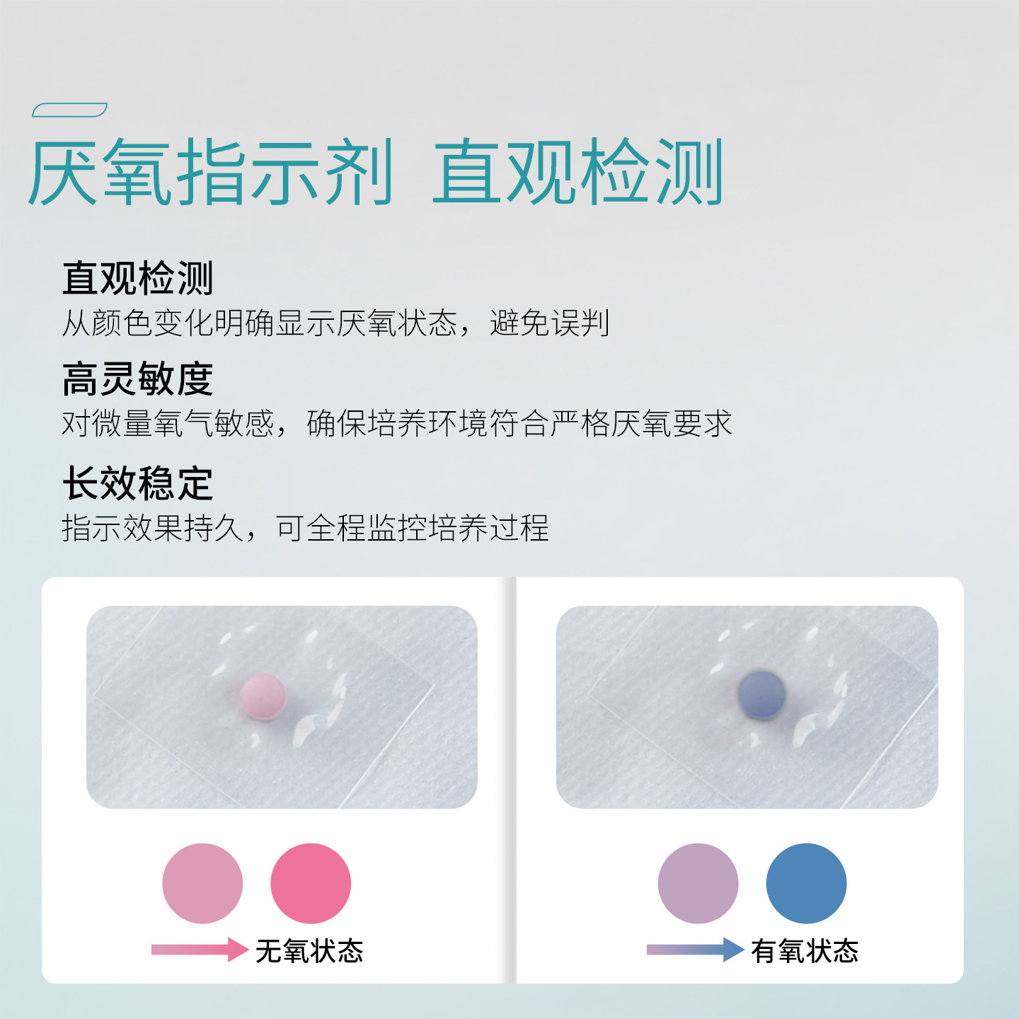 三菱MGC厌氧产气袋C-01培养包氧气指示剂C-22微需氧袋密封培养罐,淘宝优惠券,粉丝福利购,淘宝优惠卷