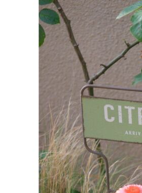 花园铁艺爬藤花插爬藤架梯子日系复古风园艺 花园摆件装饰品阳台