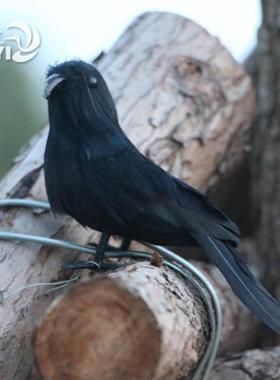 仿真羽毛乌鸦摆件田园家居橱窗装饰表演摄影道具教学工艺手工模型