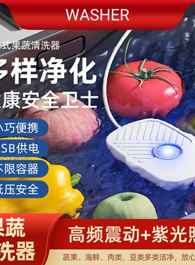 洗 果蔬菜理 迷你洗牙首饰油渍动洁器
