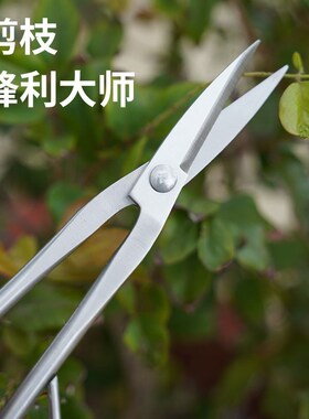 加厚叶芽剪刀全不锈钢园艺剪嫩芽修枝小枝切剪盆景长杆剪刀