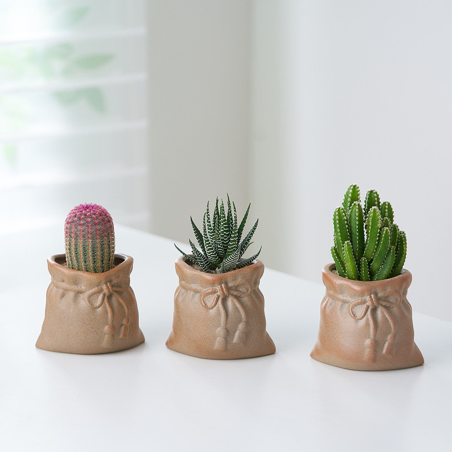 多肉植物组合盆栽北欧风仙人掌室内客厅美观摆件办公室书桌面懒人,淘宝优惠券,粉丝福利购,淘宝优惠卷