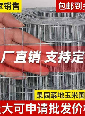 镀锌电焊网防鼠筛网焊接网格阳台防护钢丝网养殖围栏铁丝网养殖网