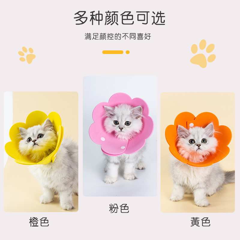 猫咪脖圈防舔头套狗狗幼猫伊莉伊利沙羞耻脖圈生病绝育宠物用品,淘宝优惠券,粉丝福利购,淘宝优惠卷