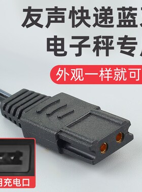 电子秤充电器友声双孔电源线扁头双槽台秤吊钩秤通用型配件大全