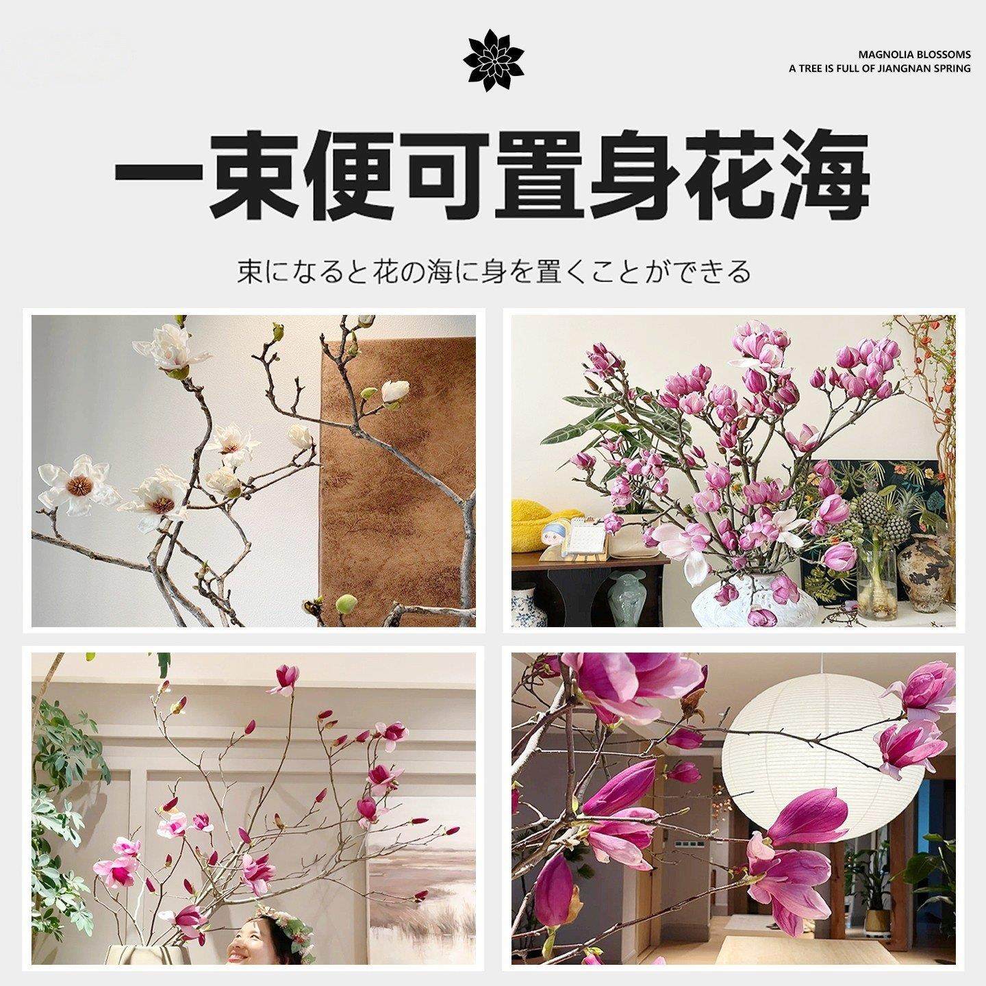 水培紫玉兰花鲜切枝带花苞干枝红梅鲜花卉室内好养四季开花植物,淘宝优惠券,粉丝福利购,淘宝优惠卷