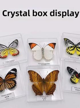 天地盖透明塑料带盖防尘盒昆虫蝴蝶标本展示盒糖果饰品收纳包装盒