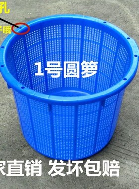 椭圆形塑料水产鱼虾养殖腰箩 加厚塑胶橘子蔬菜周转筐 收纳储物框