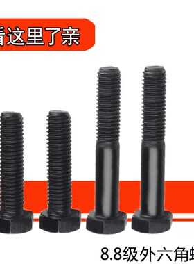 碳钢国标8.8级高强度外六角螺栓8级发黑加长特长六角头短螺丝M10
