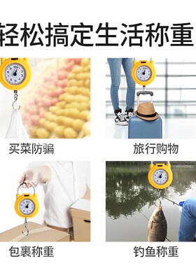 精准迷你手提电子秤高精度小型便携式吊秤弹簧秤家用钩称随身小秤