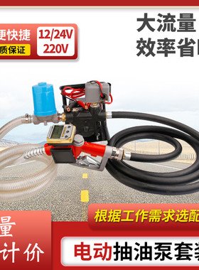 电动抽油泵12V24V220V汽油柴油加油泵车载防爆输油泵手提式抽油机