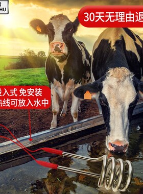 牛羊饮水槽加热管畜牧养殖场烧水棒饮水池猪马场恒温电加热器220v