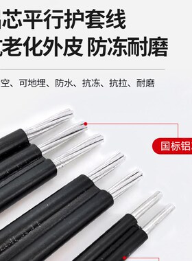 国标户外铝芯4 6 10 16 25平方电缆线2芯铝线家用架空防老化电线