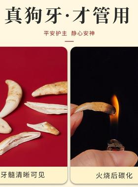 黑狗牙齿手绳朱砂生肖本命年桃木红绳婴儿宝宝儿童平安手链绳