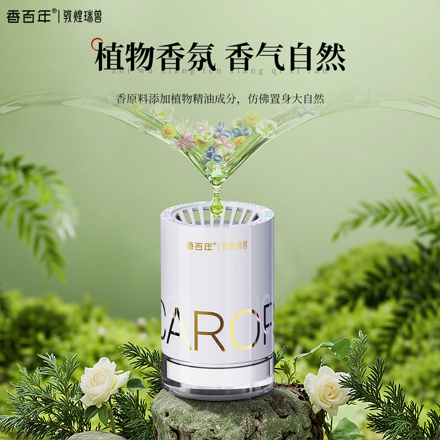 图 5