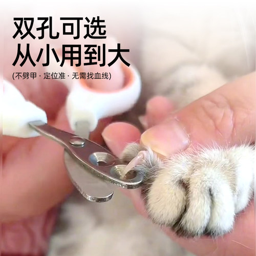 猫咪专用指甲剪小盲剪猫剪指甲神器宠物指甲刀指甲钳猫咪爪子剪刀 - 图1