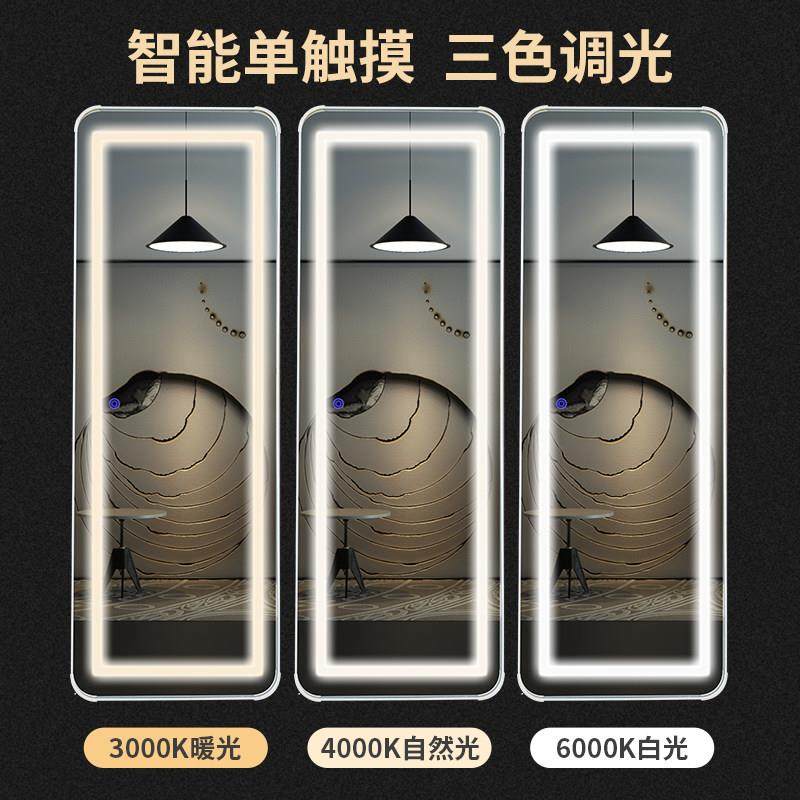 镜全身卧室女生贴墙储物一体镜子推拉壁挂网红智能收纳试衣穿衣镜,淘宝优惠券,粉丝福利购,淘宝优惠卷