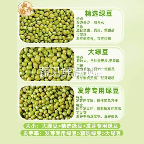 绿豆新鲜农家自产小绿豆新货可发芽粮油绿豆汤粥原材料五谷杂粮 - 图1