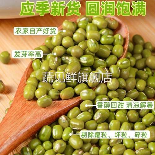 绿豆新鲜农家自产小绿豆新货可发芽粮油绿豆汤粥原材料五谷杂粮 - 图0