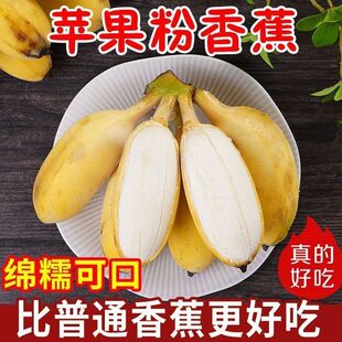 苹果蕉正宗粉蕉芭蕉新鲜水果3斤