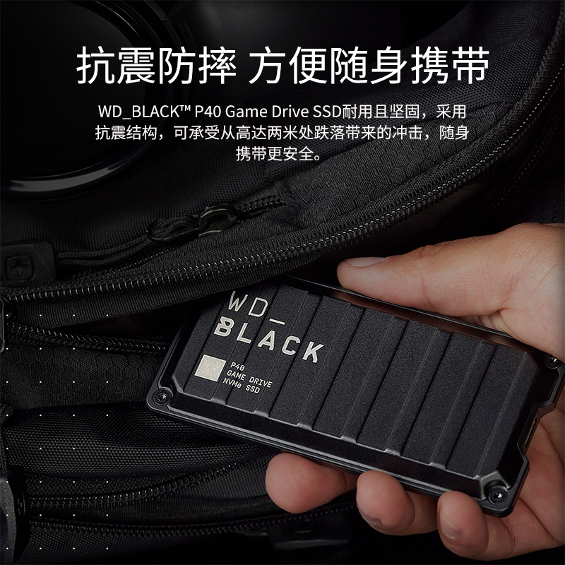 SanDisk WD Western Digital Mobile Solid State Drive P40