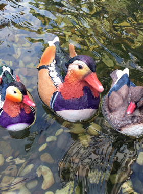 仿真鸭子水池假山水景鱼缸鱼池装饰造景园艺树脂动物浮水鸳鸯
