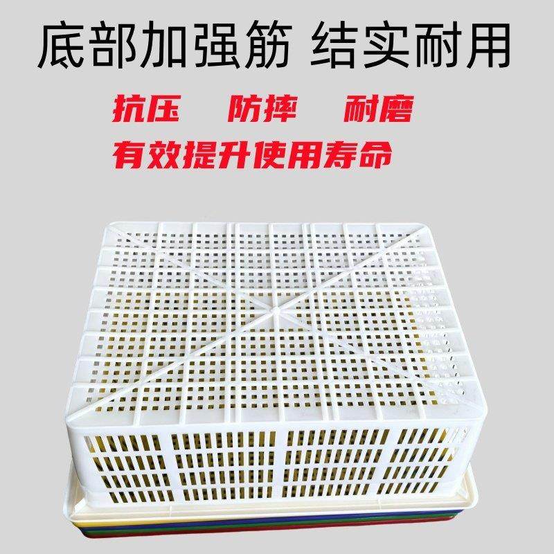 特大号洗菜盆沥水篮加厚长方形塑料篮碗筷收纳筐配货筐蔬菜漏水筛,淘宝优惠券,粉丝福利购,淘宝优惠卷